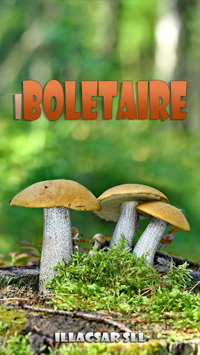 iBoletaire