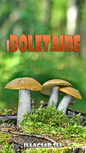 Free Download iBoletaire APK for Android