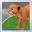 Virtual Pet 3D -  Cartoon Lion Download on Windows