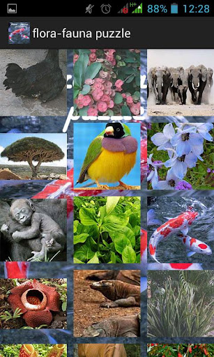 Slide Puzzle Flora Fauna