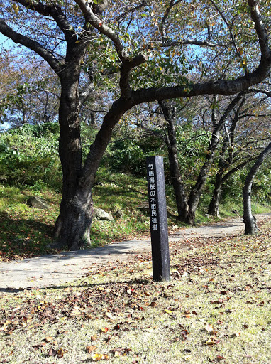 竹嶋潟桜の木市民植樹