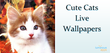 Cute Cats Live Wallpapers by luminous apps APK