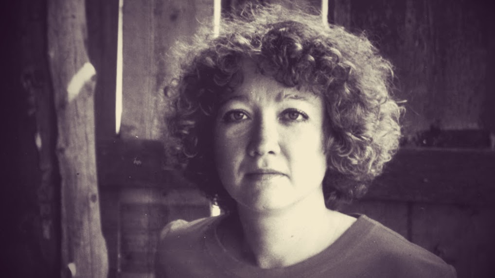 Get The Outsider Susan Hinton PNG