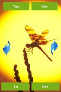 Dragonfly Wallpapers Screenshots 0