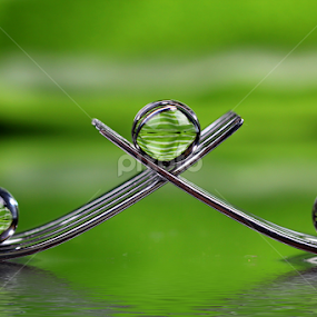 by Dipali S - Artistic Objects Other Objects