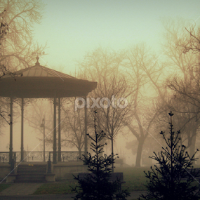 by Tatjana Koljensic - City,  Street & Park City Parks