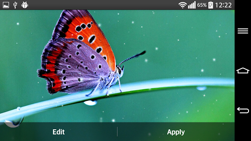 免費下載個人化APP|Butterfly Live Wallpaper app開箱文|APP開箱王