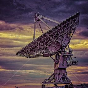 Is There Anyone Out There? by Paulo Peres - Artistic Objects Industrial Objects