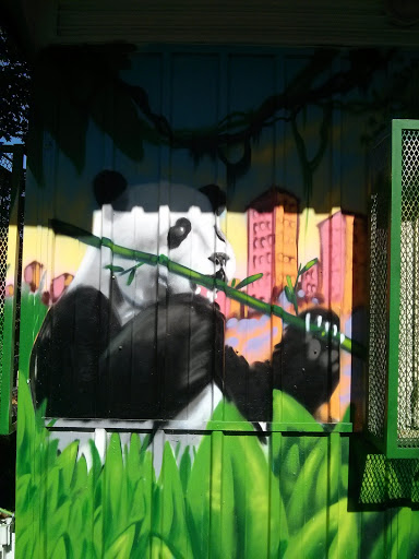 Panda in the City