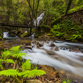 Cascata da Cabreia by João Silva - Landscapes Waterscapes