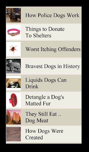 Dog Lists