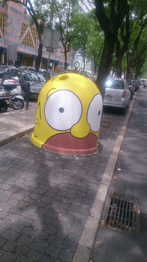 Homer Simpson - Vidrao