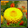 Beach Day for Image Processing Download on Windows