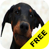 Baby Discover Dogs FREE Application icon