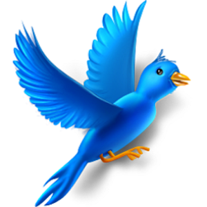 Birds Sounds (3D).apk 1.2
