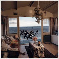 De Vechtsportvereniging