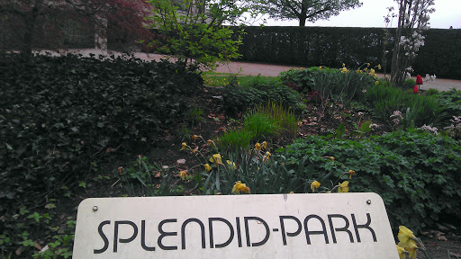 Splendid Park