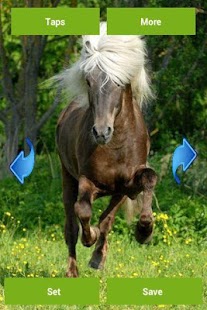 Horses Wallpapers Screenshots 0
