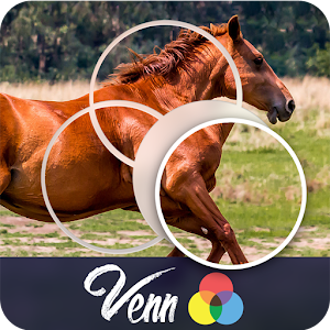 Venn Horses: Circle Jigsaw