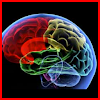 mTBI Pocket Guide