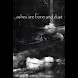 Ashes Are Bone... (本 ebook 书)