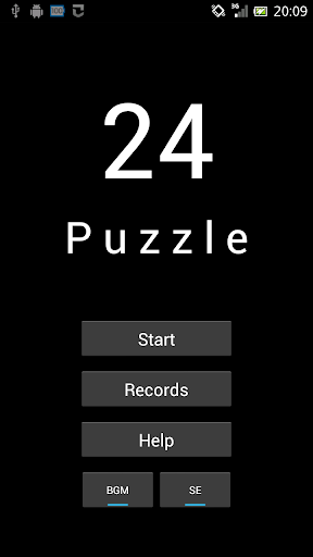 24 Puzzle