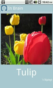 免費教育App|In Brain (Image memorization)|阿達玩APP