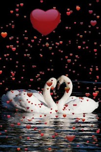 How to download I Love My Photos 3.06 mod apk for android