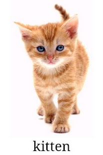 How to mod Old Domesticated Animals 1.1.1 mod apk for pc