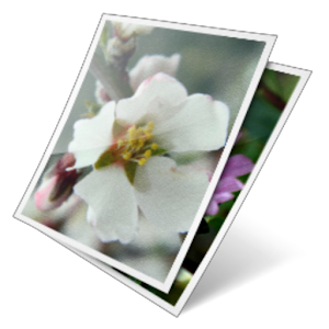 Picture Puzzle.apk 1.0