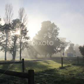 foggy morning by Yvonne Delahaye - Landscapes Weather