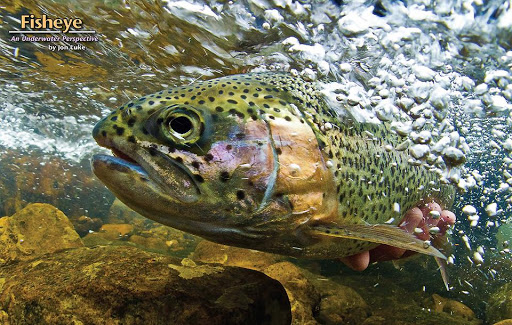 【免費運動App】American Fly Fishing-APP點子