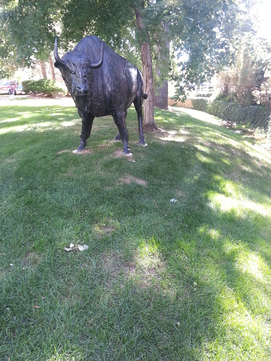 Buffalo Statute