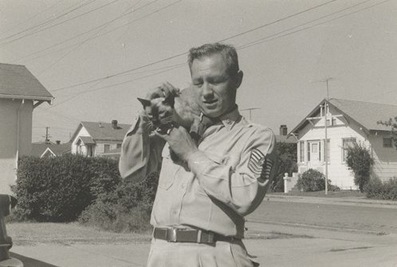 Vintage cat photo