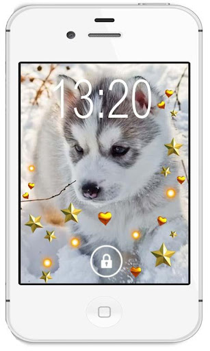 Husky Puppies live wallpaper