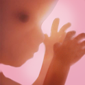 Pregnancy ++ icon