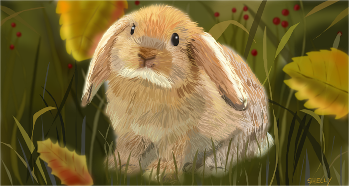 Bunny in Autumn