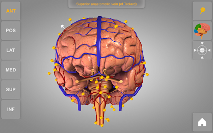 Brain 3D Anatomy Lite poster 8