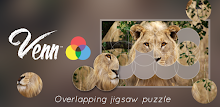Venn Lions: Circle Jigsaw APK
