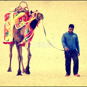 Guess the place by Kushal Ghosh - Landscapes Deserts