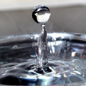 by Mrinmoy Dalabar - Abstract Water Drops & Splashes