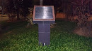 TPY Star Amphi Commemorative Plaque