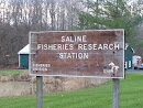 Saline Fisheries Research Station