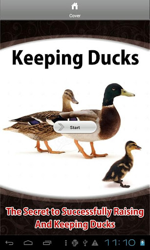 Keeping Ducks