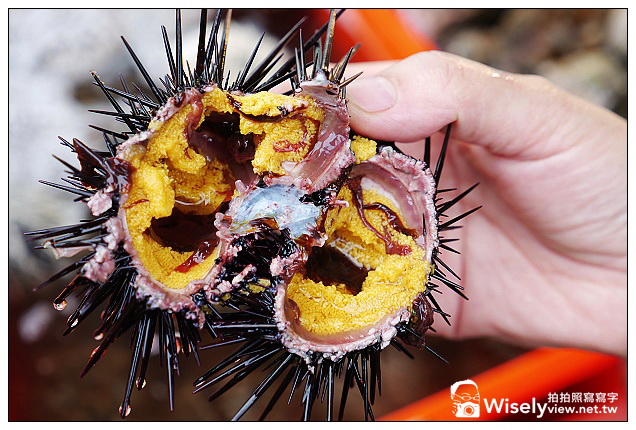大溪漁港景點＠昭洋海產行、益旺小吃、吳家魚丸、魩仔魚蔥油餅&現剝海膽