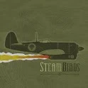 Steambirds DEMO icon