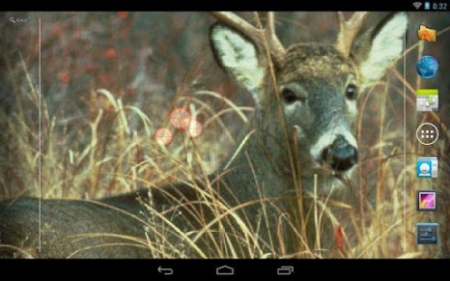 Deer Hunting Live Wallpaper