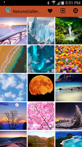 Natures Gallery Wallpaper