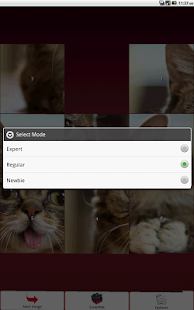 Cats Puzzle Screenshots 3