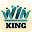 WinKing Download on Windows